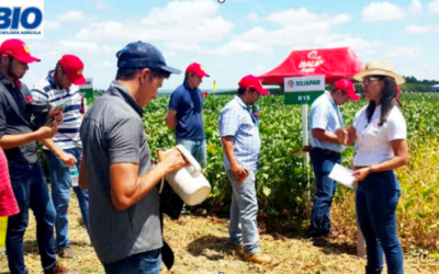 Slashing Costs by up to $80 per Hectare with Our Software in Paraguayan Soybean Farming!